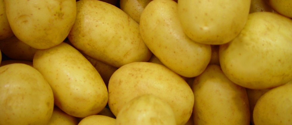 Patatas Vega