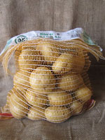 Patatas genricas 'Patatas Vega'